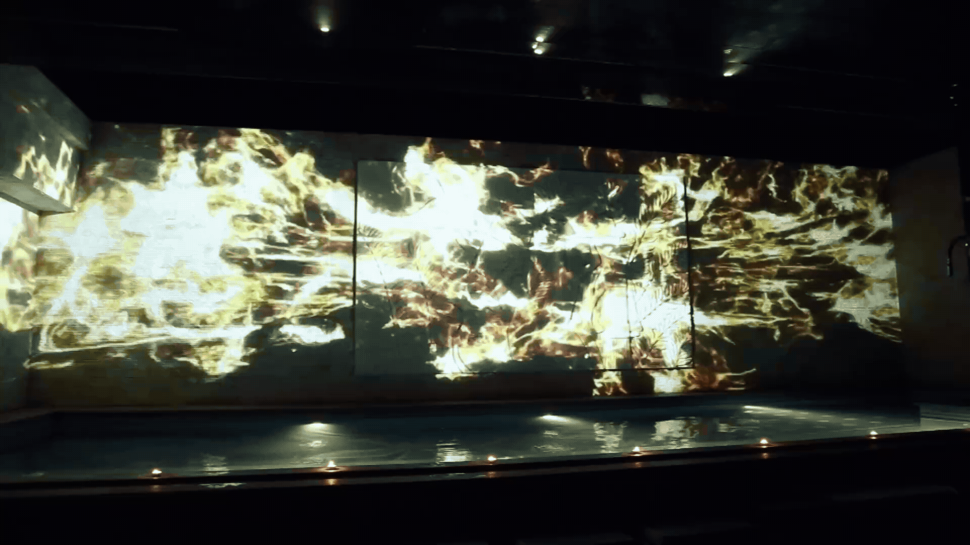 鎏金掠影｜Golden Shadow