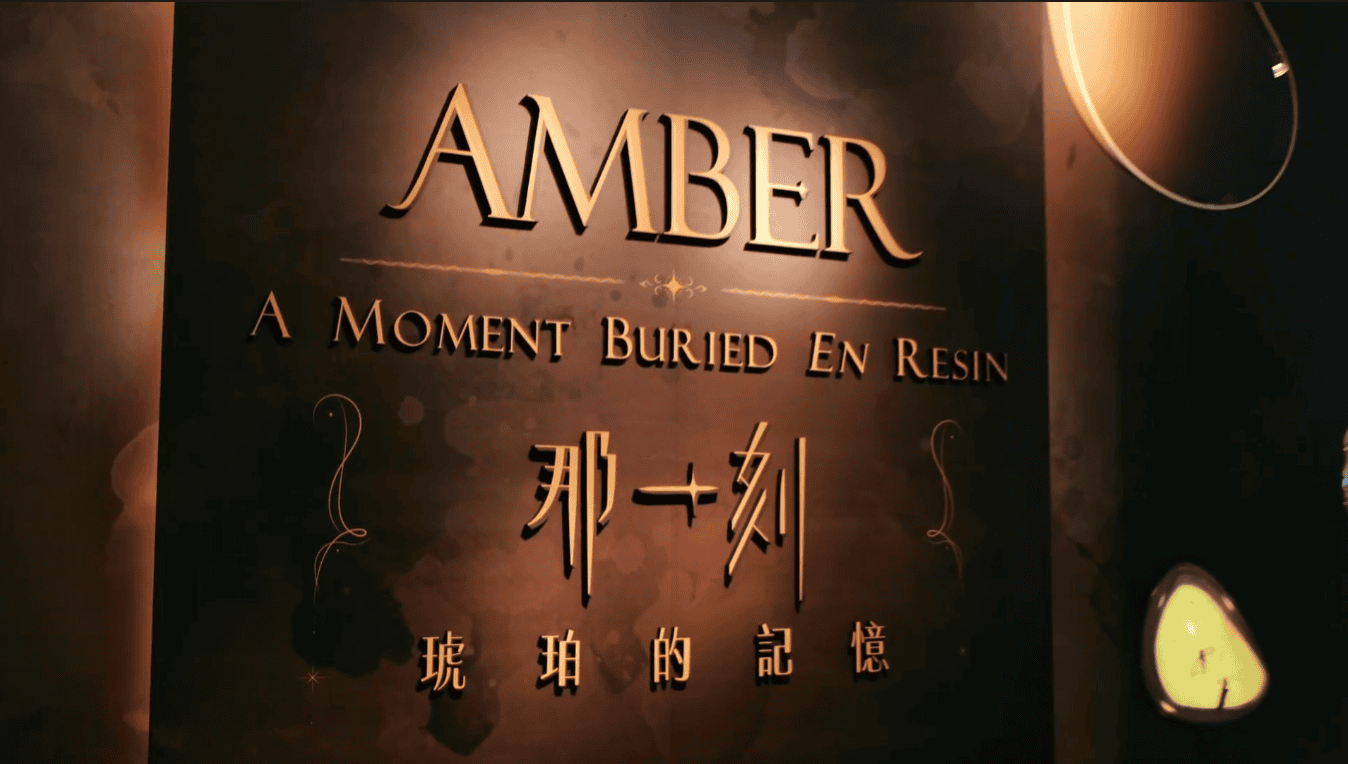 國立自然科學博物館那一刻琥珀的記憶